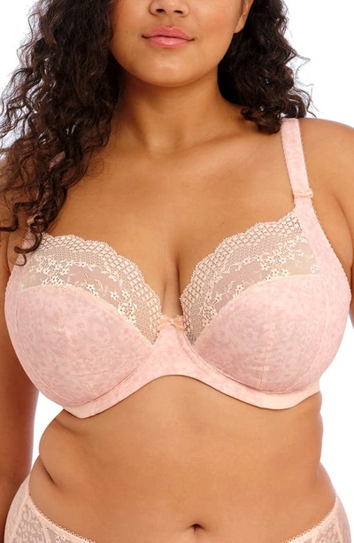 Elomi Lucie Full Figure Underwire Plunge Bra In Pale Blush