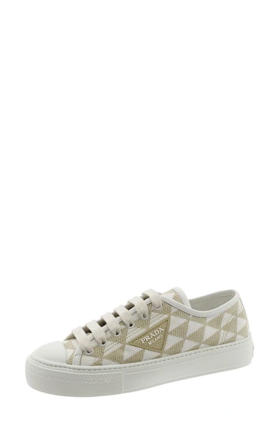 Prada Triangle Jacquard Low Top Sneaker In Beige/ White