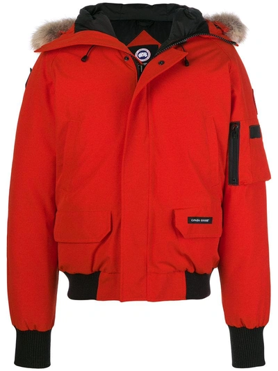 Canada Goose Short Parka - Yellow & Orange