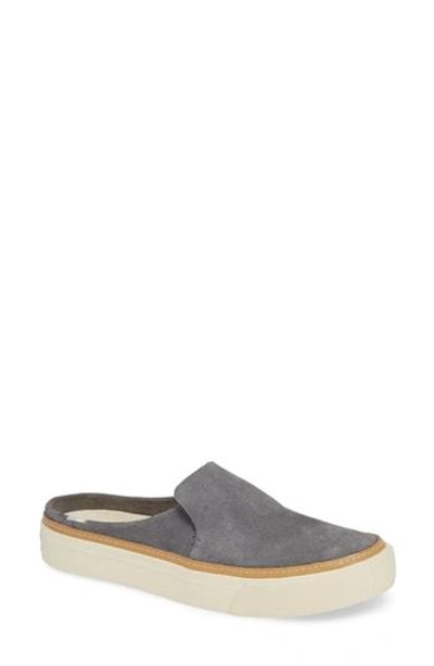 Toms Sunrise Slip-on Sneaker In Shade Suede