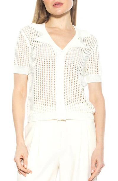 Alexia Admor Josi Crochet Button-up Top In Ivory