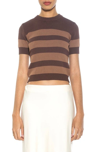 Alexia Admor Pat Stripe Short Sleeve Sweater Top In Brown