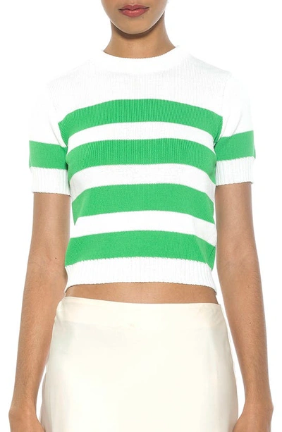 Alexia Admor Pat Stripe Short Sleeve Sweater Top In Ivory/ Green
