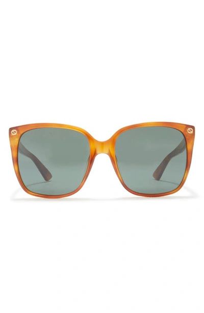 Gucci 57mm Cat Eye Sunglasses In Havana Havana Green