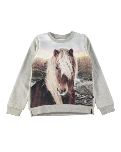 Molo Marlee Long-sleeve Horse-print Sweatshirt In Gray