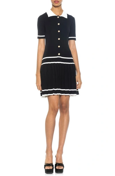 Alexia Admor Lucinda Short Sleeve Dress In Black