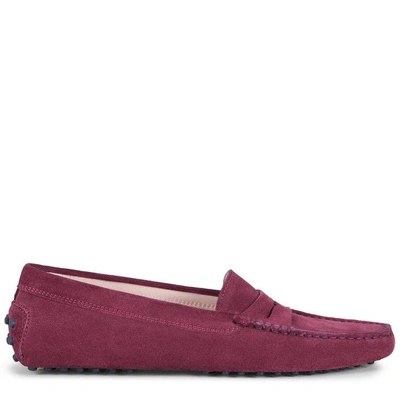 Tod's Gommino Driving Shoes In Suede In Burgundy