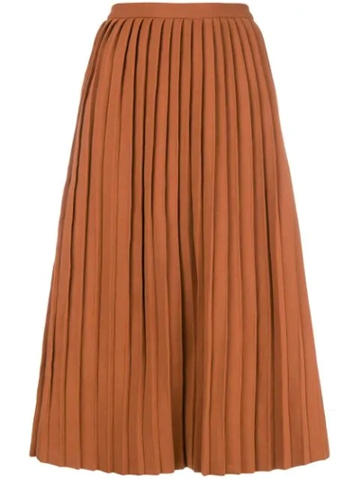 Sofie D'hoore Pleated Skirt In Brown