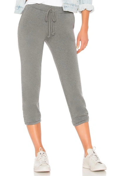 Velvet By Graham & Spencer Chessa Jogger In Charcoal