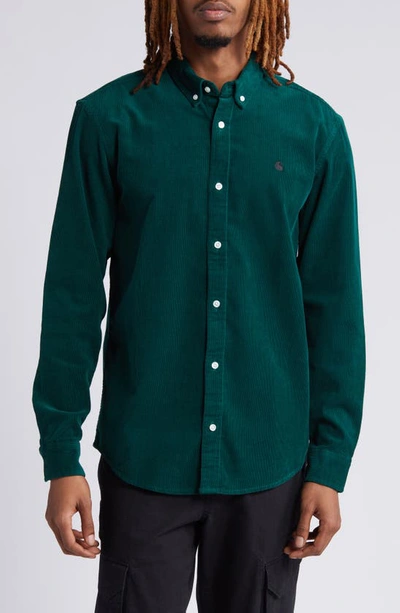 Carhartt Madison Cotton Corduroy Button-down Shirt In Chervil / Black