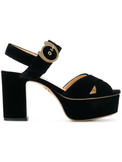 Charlotte Olympia Buckle Sandals In Black