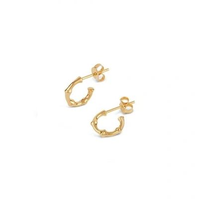 Dinny Hall Gold Micro Bamboo Hoops