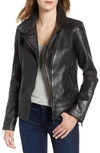 Bernardo Leather Moto Jacket In Black