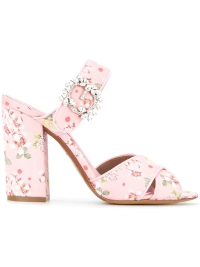 Tabitha Simmons Reyner Sandals In Pink