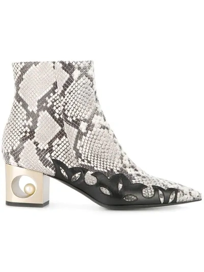 Coliac Calvin Ankle Boots In Grey