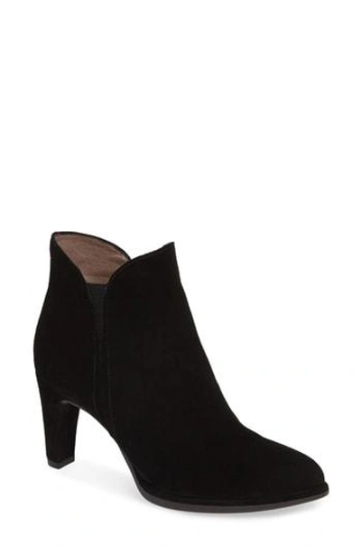 Wonders Chelsea Boot In Black Suede