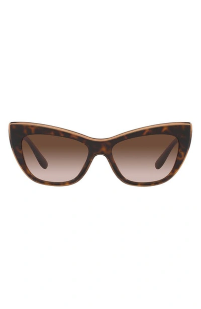Dolce & Gabbana 54mm Cat Eye Sunglasses In Brown