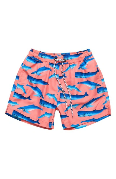 Snapper Rock Kids' Whale Tail Swim Trunks In Peach