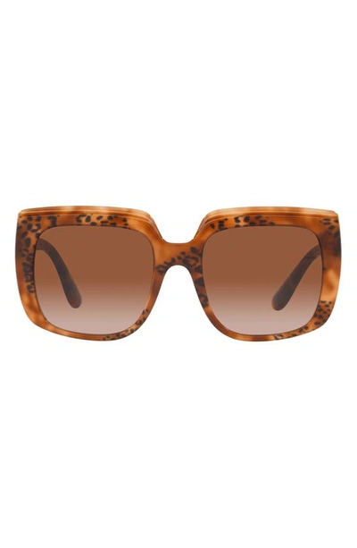 Dolce & Gabbana 54mm Gradient Square Sunglasses In Brown Gradient