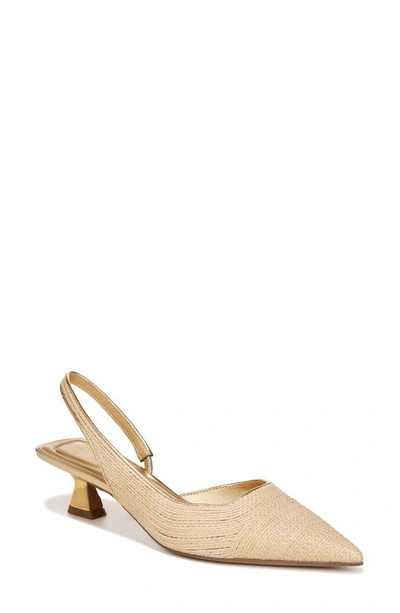 Sarto By Franco Sarto Devin Pointed Toe Slingback Pump In Natural