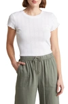 Splendid Como Pointelle T-shirt In White