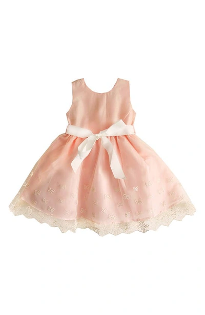Joe-ella Kids' Embroidered Tulle Dress In Blush Pink