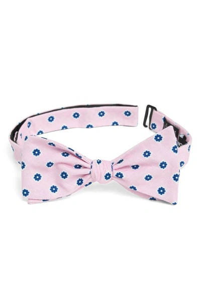 Nordstrom James Floral Cotton Bow Tie In Pink