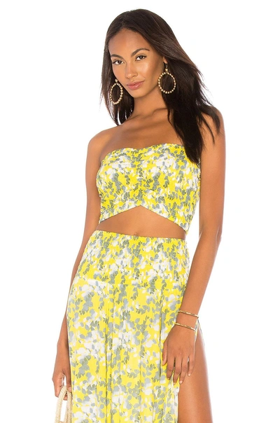Tiare Hawaii Hollie Bandeau Top In Shimmer Yellow