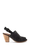 Paul Green Lovely Woven Leather Sandal In Black Woven Softnubuk