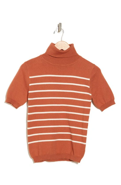 Vigoss Stripe Short Sleeve Cotton Turtleneck Sweater In Cinnamon