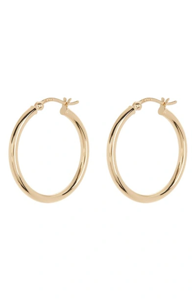 Argento Vivo Medium Tube Hoop Earrings In Gold