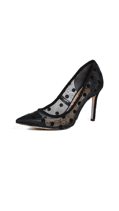 Sam Edelman Hazel Pointy Toe Pump In Black