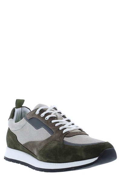 Zanzara Plata Sneaker In Olive