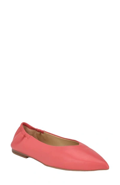 Calvin Klein Saylory Pointed Toe Flat In Pink Leather