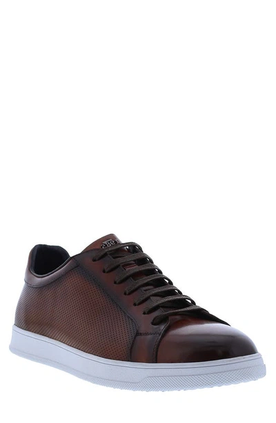 Zanzara Havana Perforated Leather Sneaker In Cognac