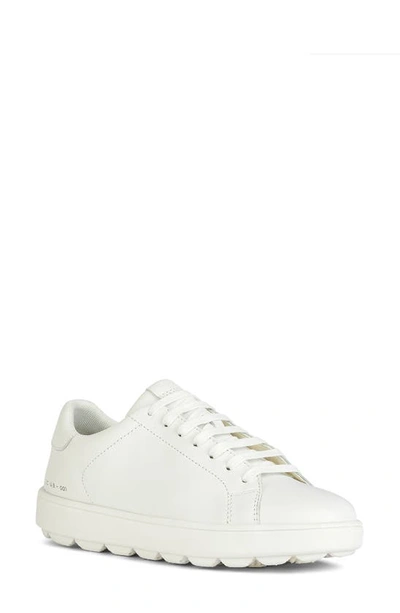 Geox Spherica Sneaker In White