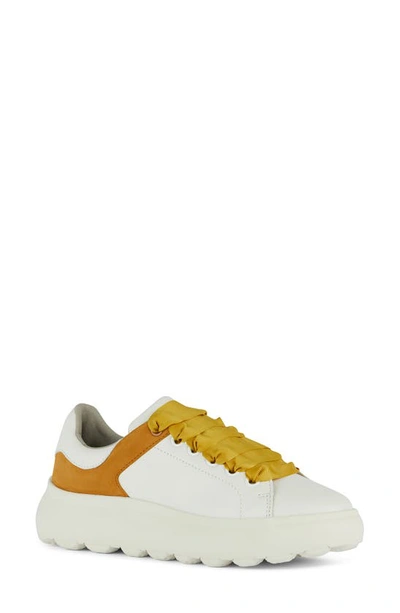 Geox Spherica Sneaker In White/ Cognac