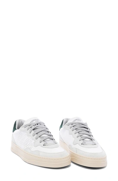 P448 Bali Platform Sneaker In White/ Green