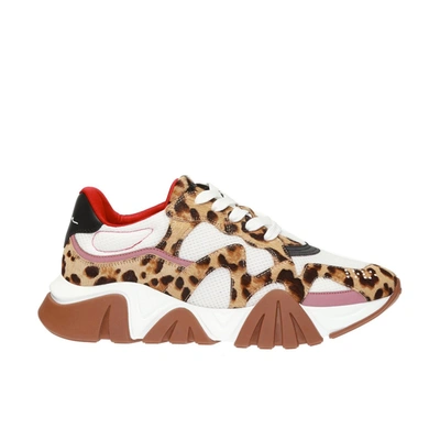 Versace Squalo Leopard Sneakers In Beige