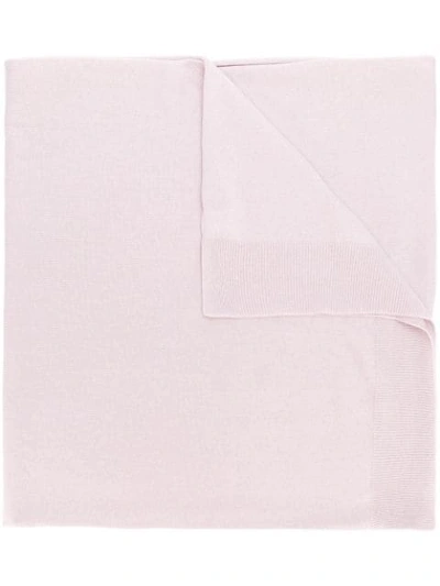 Agnona Wide Shaped Scarf In Pink