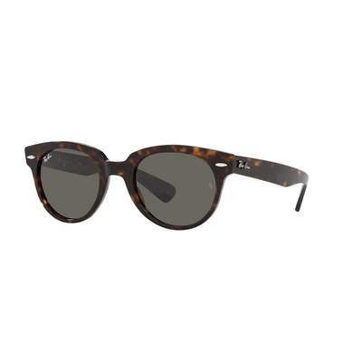 Ray Ban Rb 2199 902/b1 52mm Unisex Phantos Sunglasses In Brown