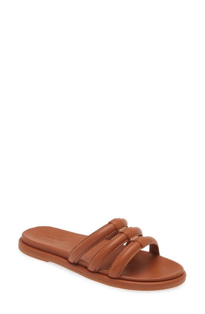 Olukai Tiare Slide Sandal In Fox/fox