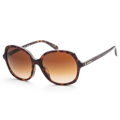 Coach Women's 57mm Dark Tortoise Sunglasses In Brown