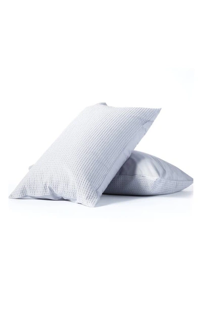 Night Lark Set Of Two Pillowcases In Gray