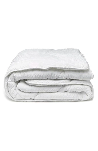 Night Lark Seagrass Hypoallergenic Duvet Comforter In White