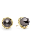Lagos Luna Freshwater Pearl Lux Stud Earrings In Gold/luna Black
