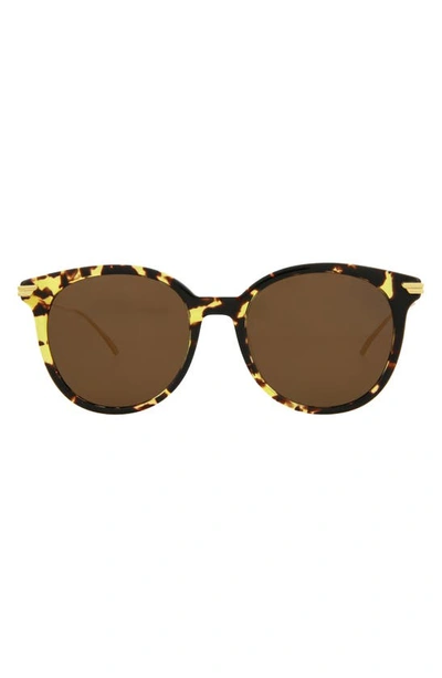Bottega Veneta 54mm Round Sunglasses In Havana Gold Brown