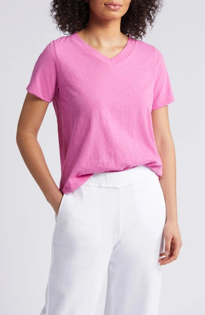 Eileen Fisher V-neck Organic Cotton T-shirt In Tulip