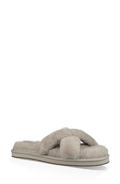 Ugg Abela Genuine Shearling Flip Flop In Willow Wool