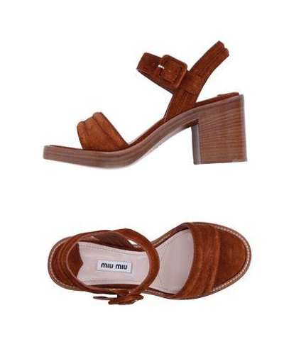 Miu Miu Sandals In Brown